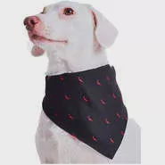 Bandana Reserva Pica-Pau - Tam. Único